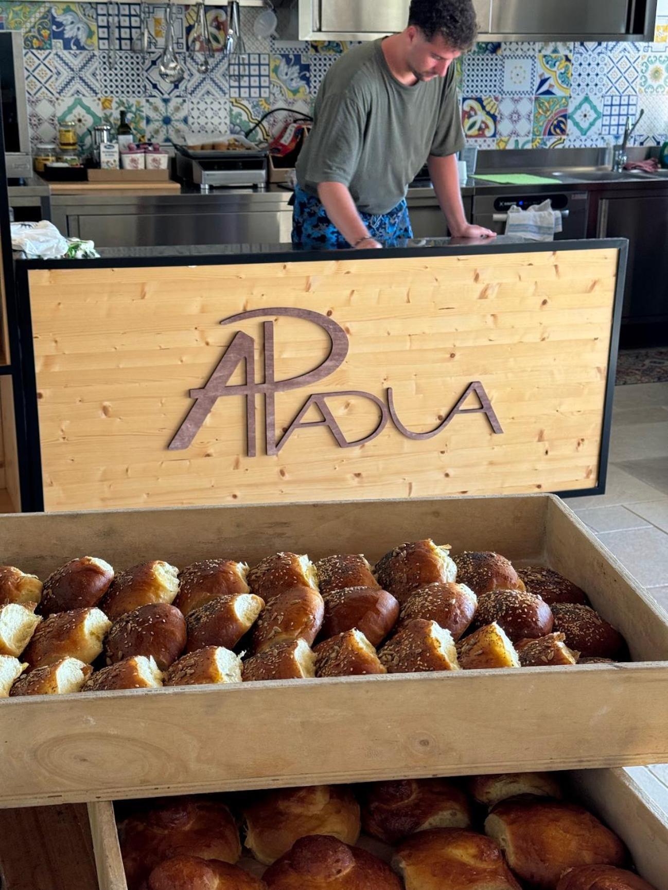 סבאודיה Agriturismo Padua מראה חיצוני תמונה
